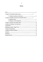 Prakses atskaite 'SIA "Stilgras" mārketinga vide', 3.