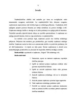 Prakses atskaite 'SIA "Stilgras" mārketinga vide', 4.