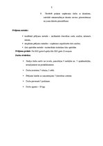 Prakses atskaite 'SIA "Stilgras" mārketinga vide', 5.