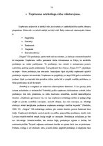 Prakses atskaite 'SIA "Stilgras" mārketinga vide', 13.