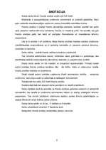 Referāts 'SIA "Enefit" finanšu analīze', 2.