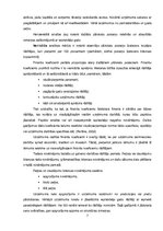 Referāts 'SIA "Enefit" finanšu analīze', 7.