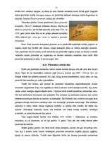 Referāts 'Rakstības un arhitektūras pieminekļi Senajā Ēģiptē', 15.