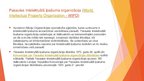 Prezentācija 'Intelektuālā īpašuma tiesības', 42.