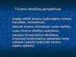 Prezentācija 'Tūrisma resursi, to izmantojamība un iespējas Naujenes pagastā', 9.