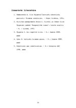 Referāts 'Ilzes Šķipsnas romāns "Neapsolītās zemes"', 14.