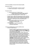 Konspekts 'Konstitucionālās tiesības', 2.