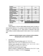 Prakses atskaite 'Viesnīcas X finanšu rādītāju analīze', 14.