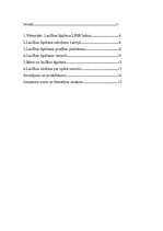 Referāts 'Laulības šķiršana', 2.