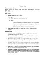 Konspekts 'Pelēkā vilka un tīrumsliekas detalizēts apraksts', 1.