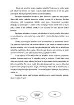 Referāts 'Bijušo ieslodzīto un nosacīti sodīto sociālā rehabilitācija', 6.