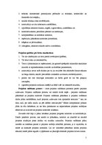 Referāts 'Standarti projektu vadīšanā', 7.