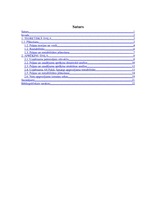 Referāts 'Peļņas un rentabilitātes plānošana', 1.