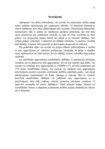 Referāts 'Peļņas un rentabilitātes plānošana', 21.