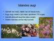 Prezentācija 'Islande', 7.