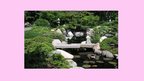 Prezentācija 'Senās Japānas dārzi un parki', 3.