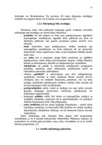 Referāts 'Sociālais mārketings un tā veidi', 11.