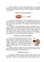 Referāts 'Sociālais mārketings un tā veidi', 21.