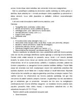 Referāts 'Liepājas Karostas tūrisma piedāvājuma izvērtējums un pilnveidošanas iespējas', 7.