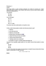 Referāts 'Liepājas Karostas tūrisma piedāvājuma izvērtējums un pilnveidošanas iespējas', 36.