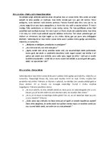 Konspekts 'Reinis un Matīss Kaudzītes "Mērnieku laiki". Tēlu un ainu analīze', 4.