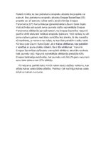 Eseja 'Politiskie notikumi', 2.