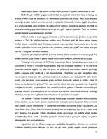 Referāts 'Pircēju sociālās atbildības apšaubīšana kā līdzeklis pārdošanas veicināšanai', 15.