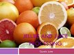 Prezentācija 'Jellies and Juice Processing', 1.