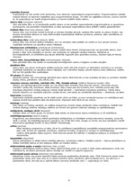 Konspekts 'Pamatjēdzieni, gatavojoties 10.klases informātikas ieskaitei', 4.