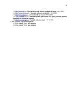 Prakses atskaite 'Pasažieru pārvadājumi Rēzeknes pilsētā', 19.