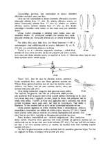 Referāts 'Optika', 23.