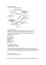 Konspekts 'Endogēno procesu darbība, seismiskās aktivitātes un vulkānisma ģeogrāfiskā izpla', 4.