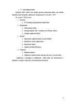 Referāts 'AS "Laima" zefīrs "Maigums" - mārketinga analīze', 8.