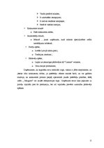 Referāts 'AS "Laima" zefīrs "Maigums" - mārketinga analīze', 15.