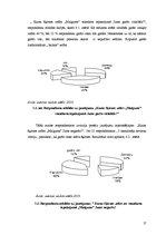 Referāts 'AS "Laima" zefīrs "Maigums" - mārketinga analīze', 17.
