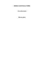 Biznesa plāns 'SIA "Lāsīte"', 1.