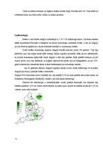 Referāts 'Musulmanisma izplatība Eiropā', 14.