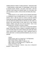 Referāts 'Personības identitāte', 5.