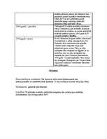 Referāts 'Otrais pasaules karš Latvijā un pasaulē', 13.