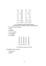 Diplomdarbs 'Liellaiduma koka pārseguma racionālo parametru novērtēšana', 25.