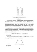 Diplomdarbs 'Liellaiduma koka pārseguma racionālo parametru novērtēšana', 26.