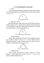 Diplomdarbs 'Liellaiduma koka pārseguma racionālo parametru novērtēšana', 28.