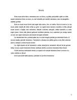 Referāts 'Testamenta forma un saturs', 3.