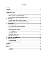 Referāts 'Pasažieru aviācijas pilota karjeras kāpnes', 2.