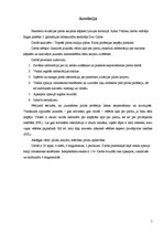 Referāts 'Pasažieru aviācijas pilota karjeras kāpnes', 3.