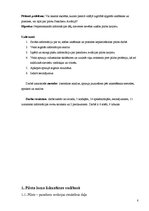 Referāts 'Pasažieru aviācijas pilota karjeras kāpnes', 6.