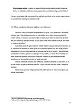 Referāts 'Pasažieru aviācijas pilota karjeras kāpnes', 8.