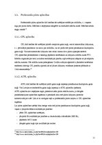 Referāts 'Pasažieru aviācijas pilota karjeras kāpnes', 13.