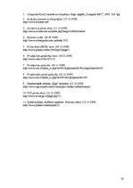 Referāts 'Pasažieru aviācijas pilota karjeras kāpnes', 24.