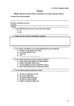 Referāts 'Pasažieru aviācijas pilota karjeras kāpnes', 29.